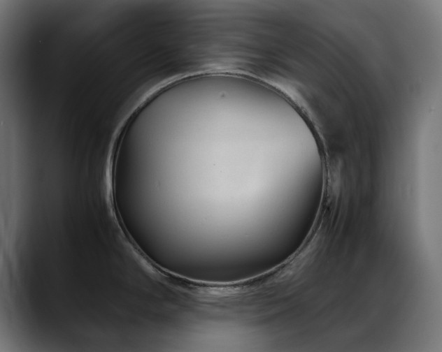 X0000088581294200705251130
