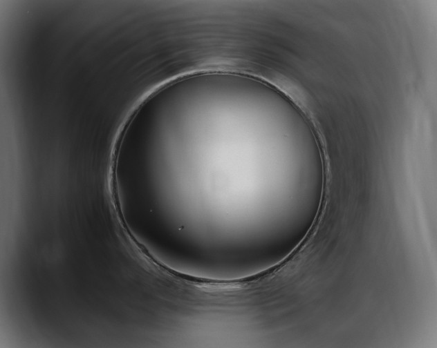 X0000088581296200705251130