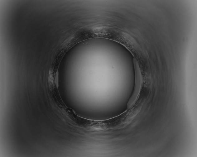 X0000088581298200705251130