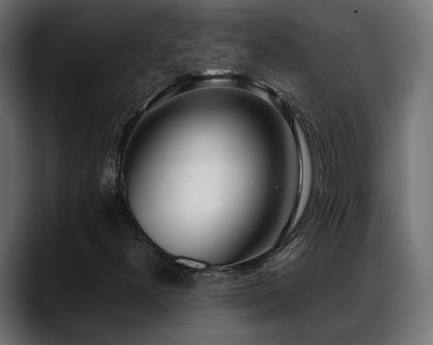 X0000088581300200705251130