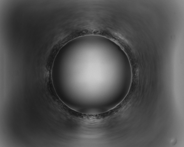 X0000088581302200705251130