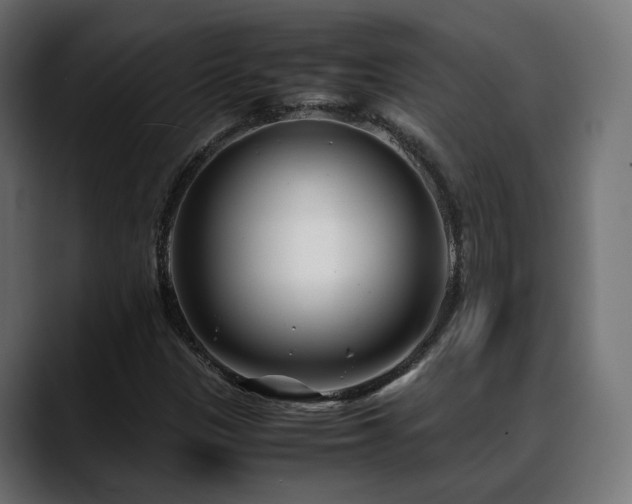 X0000088581305200705251130