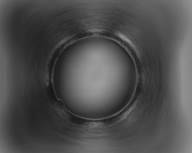 X0000088581306200705251130