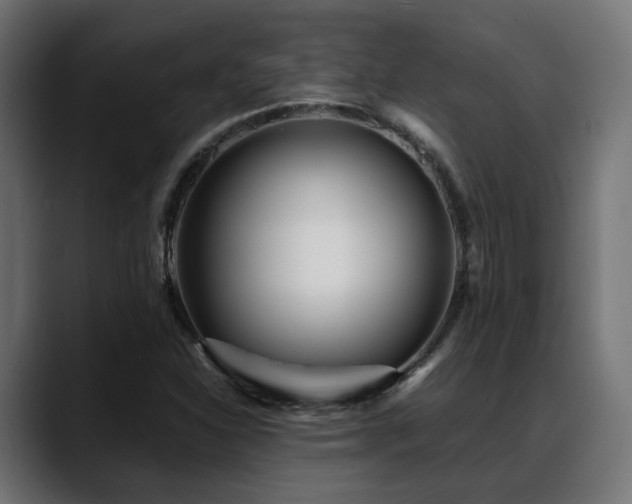 X0000088581310200705251130
