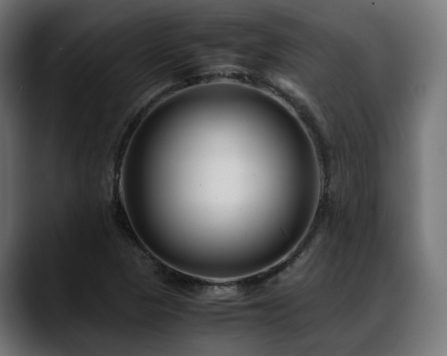 X0000088581313200705251130