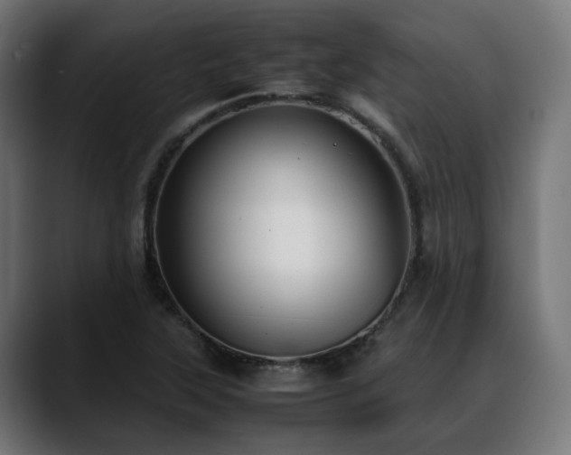 X0000088581315200705251130