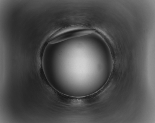 X0000088581317200705251130