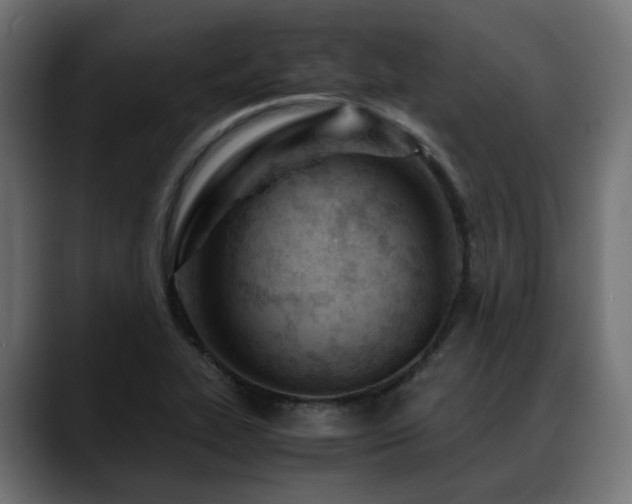 X0000088581319200705251130