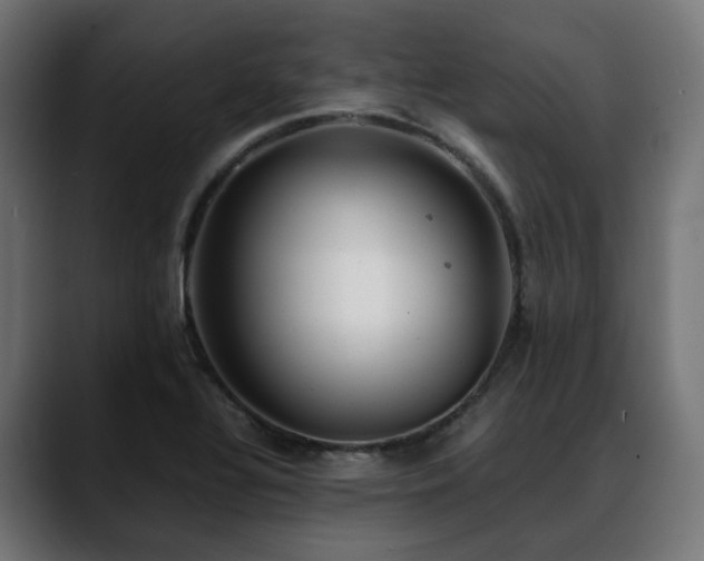 X0000088581320200705251130