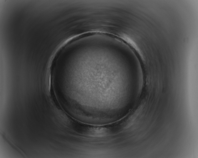 X0000088581323200705251130