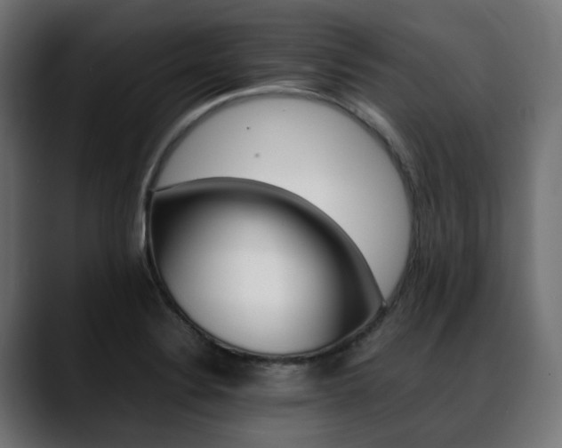 X0000088581324200705251130