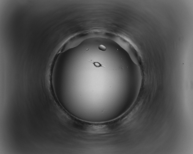 X0000088581325200705251130