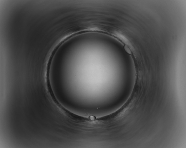 X0000088581331200705251130
