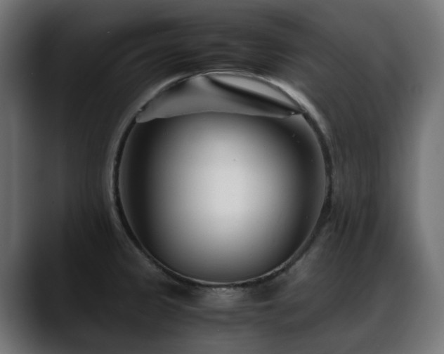 X0000088581333200705251130