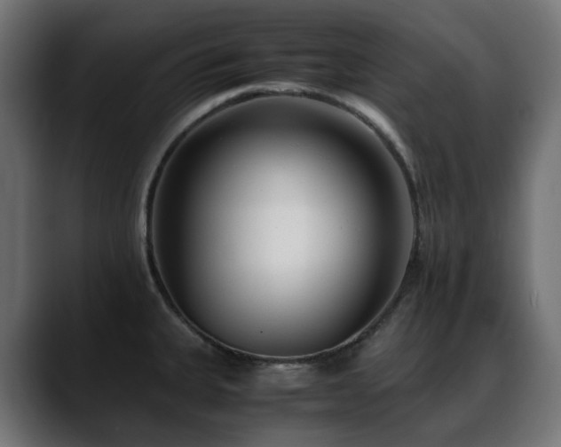 X0000088581335200705251130