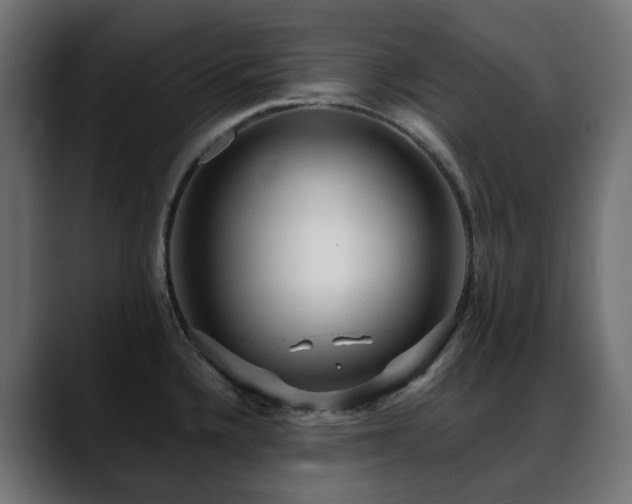 X0000088581336200705251130
