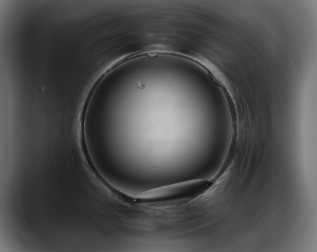 X0000088581341200705251130