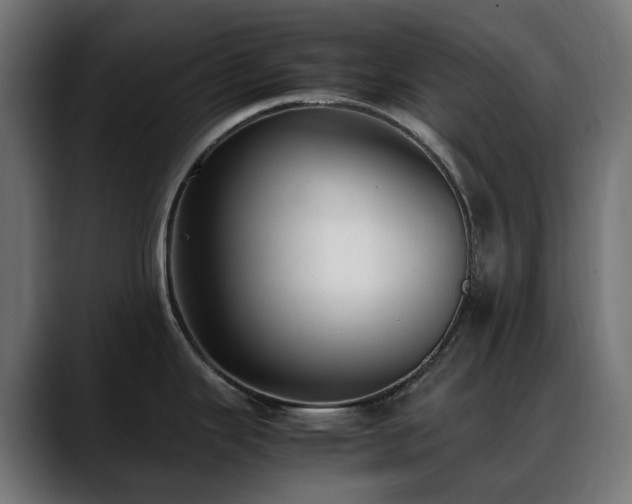 X0000088581343200705251130
