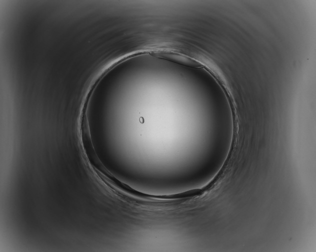 X0000088581344200705251130