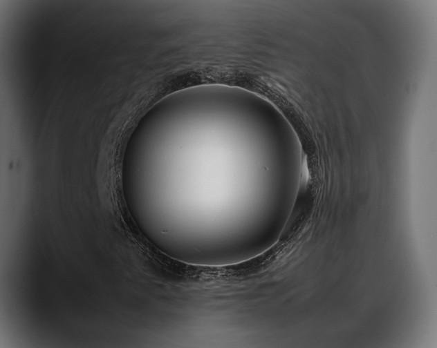 X0000088581345200705251130