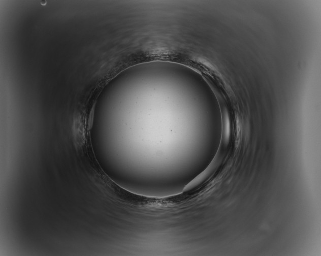 X0000088581348200705251130