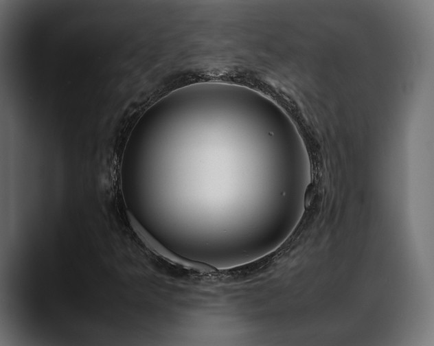 X0000088581349200705251130