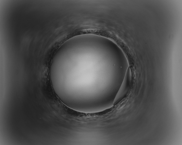X0000088581351200705251129