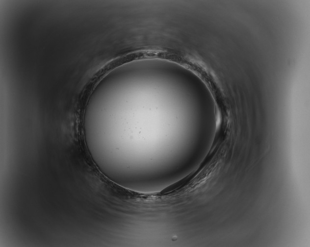 X0000088581352200705251129