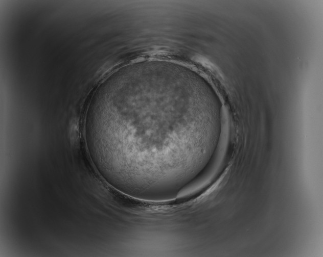 X0000088581353200705251129