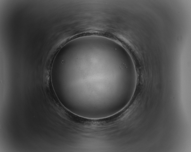 X0000088581355200705251129