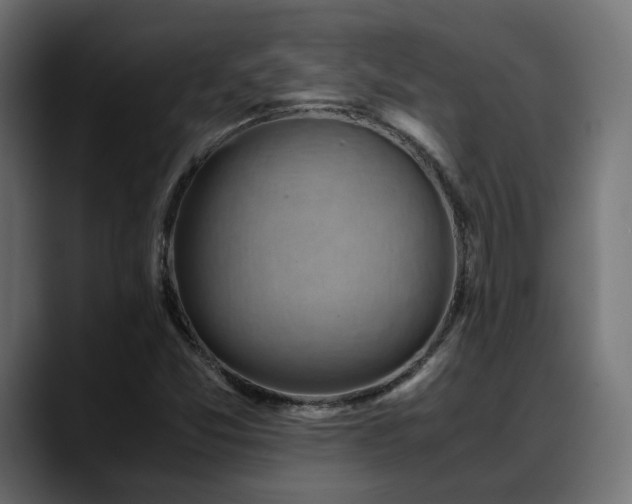 X0000088581357200705251129