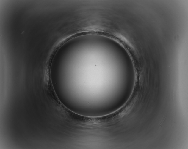 X0000088581358200705251129