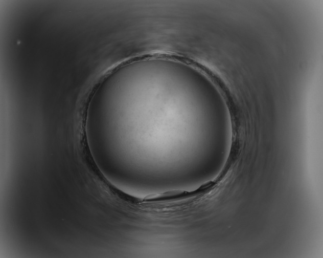 X0000088581359200705251129