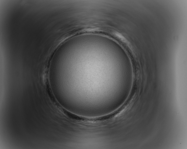 X0000088581361200705251129