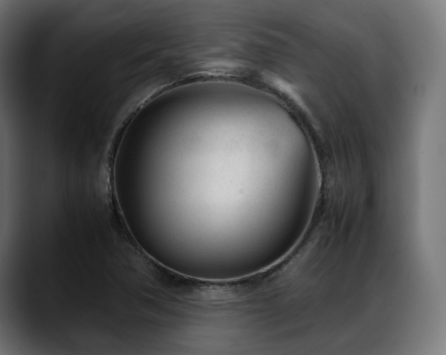X0000088581362200705251129