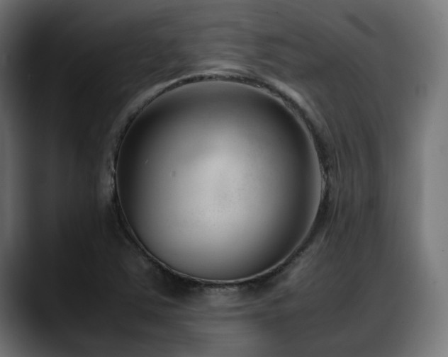 X0000088581363200705251129