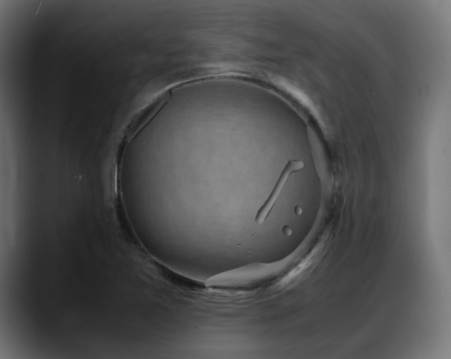 X0000088581365200705251129