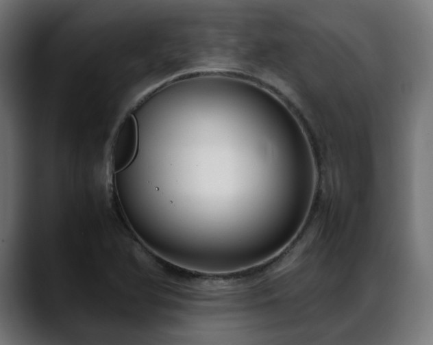 X0000088581366200705251129
