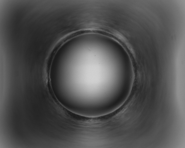 X0000088581368200705251129
