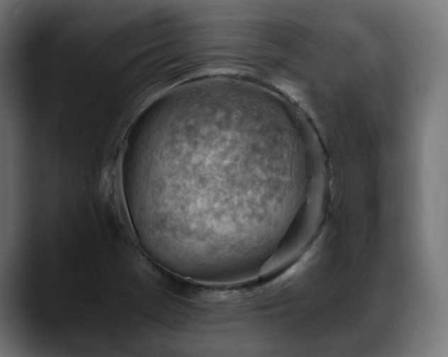 X0000088581369200705251129