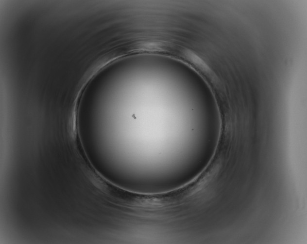 X0000088581370200705251129