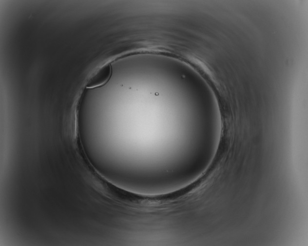X0000088581371200705251129