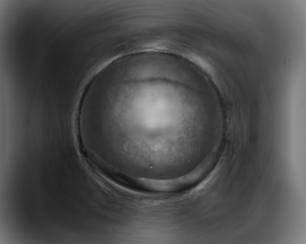 X0000088581373200705251129