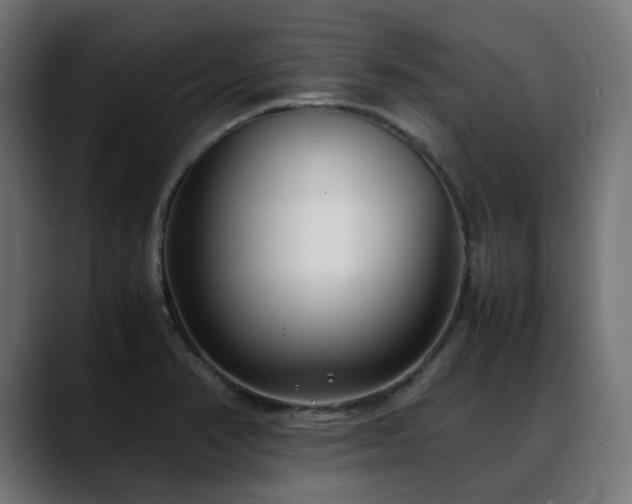 X0000088581374200705251129