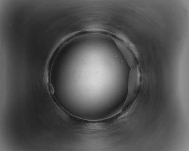 X0000088581376200705251129