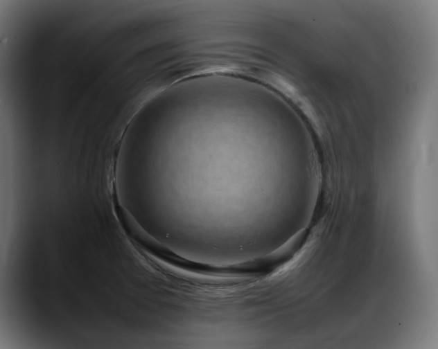 X0000088581377200705251129