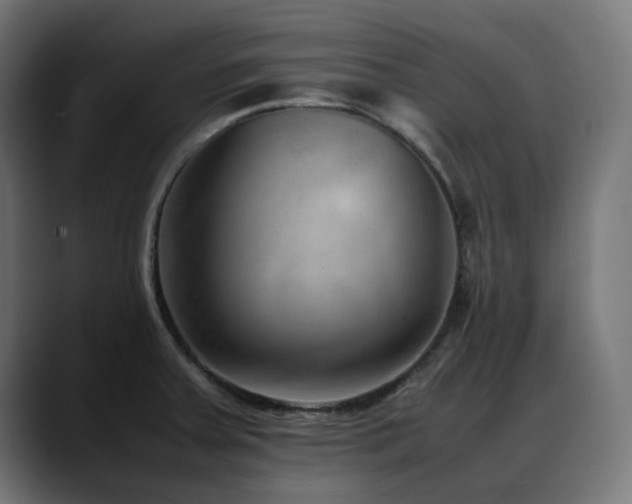 X0000088581379200705251129