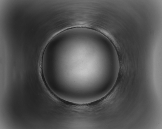 X0000088581383200705251129
