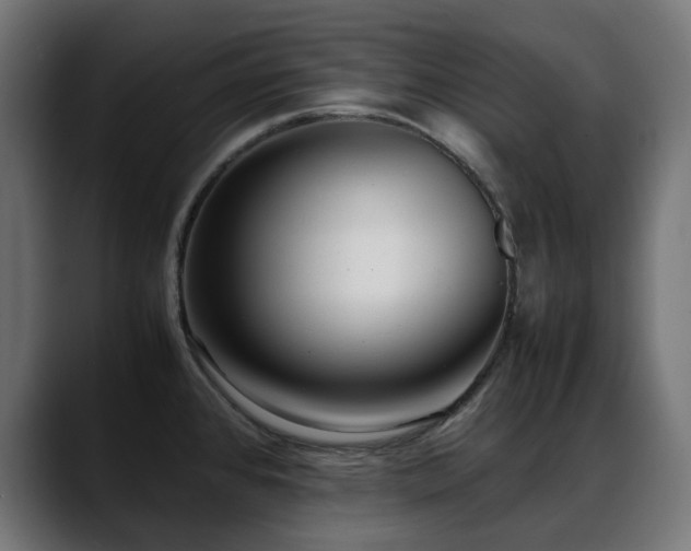 X0000088581384200705251129