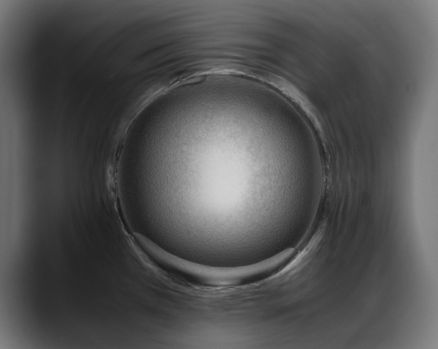 X0000088581385200705251129